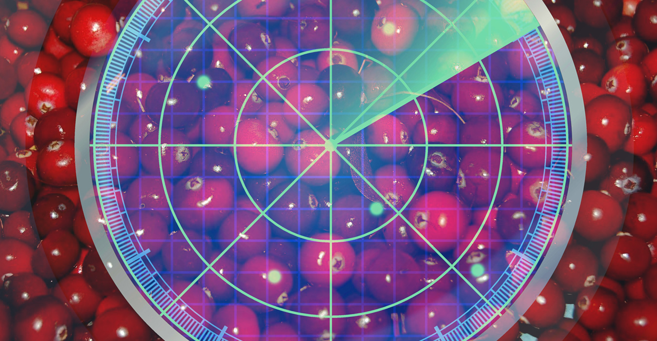 Counting Cranberries with Radar Signals