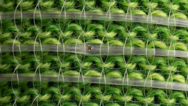 Dejune23 2 Promo 60da357f24418