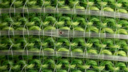 Dejune23 2 Promo 60da357f24418 Dejune23 2 Promo 60da357f24418