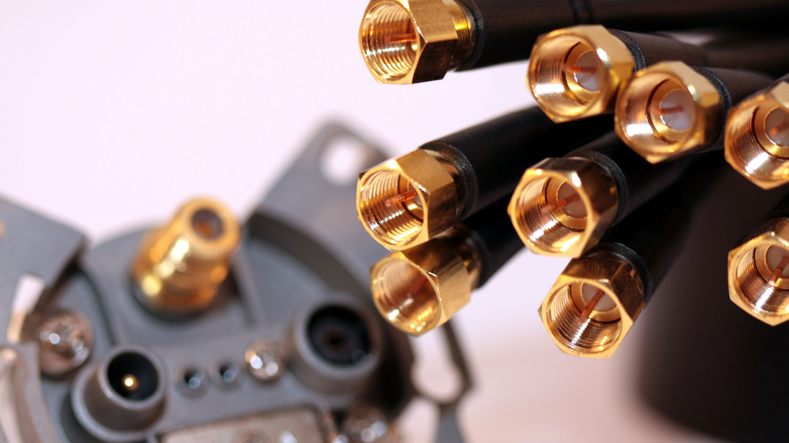 Coax Katarzyna Zwolska Dreamstime Xl 12015828 6165f17b7759f