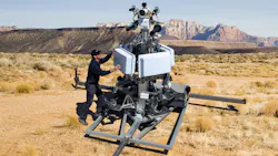 Black Sage | Rockworth Black Sage | Rockworth