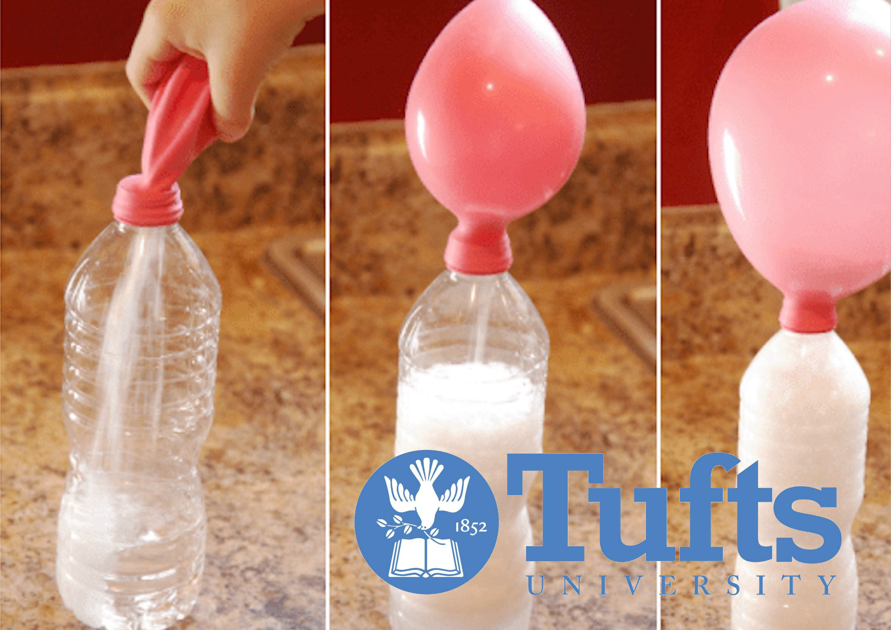 Tufts Stem Promo 6447f4724faeb