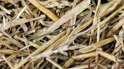 dreamstime_m_48566050 dreamstime_m_48566050