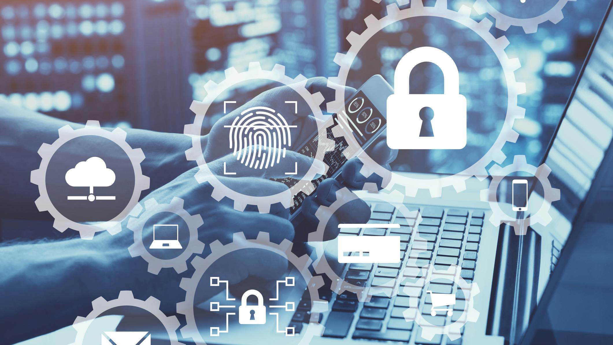 dreamstime_m_204902784