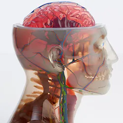 A multi-material model created by the J750 Printer. A multi-material model created by the J750 Printer.