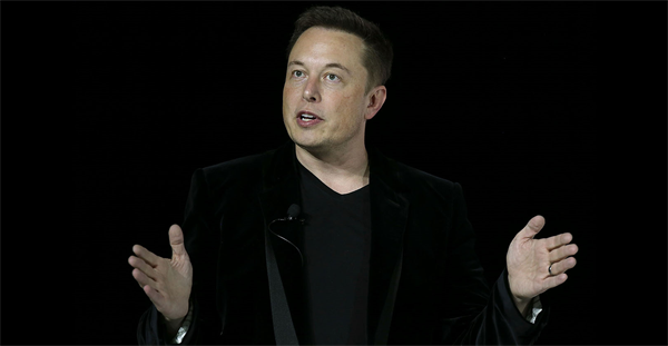 Musk what me worry