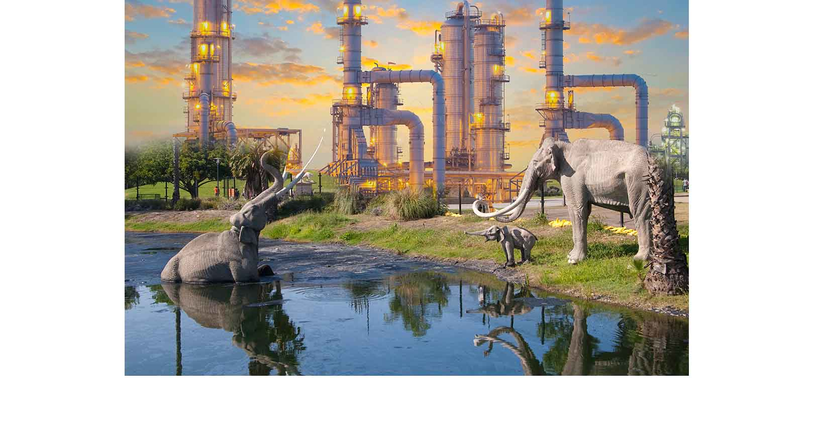elephant-oil-refinery