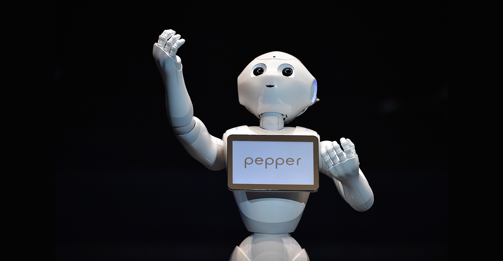 pepper-1207