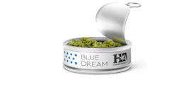 honest-marijuana-can-promo honest-marijuana-can-promo