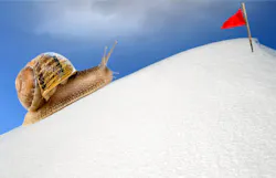 snail snail