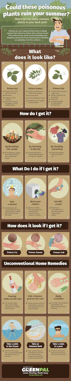 poisonivy-infographic poisonivy-infographic