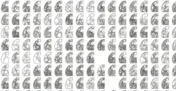 generative-autodesk generative-autodesk