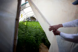 Curtain Pull Back Curtain Pull Back