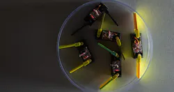 shape-shifting-robot-built-from-smarticles-shows-new-locomotion-strategy-header.jpg shape-shifting-robot-built-from-smarticles-shows-new-locomotion-strategy-header.jpg