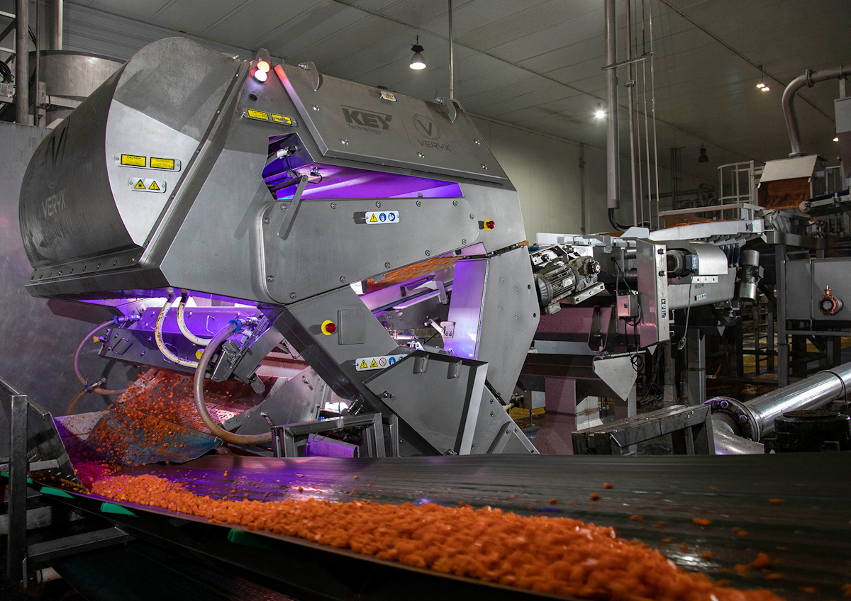 Digital Sorters Maximize Production And Product Quality New Equipment Digest