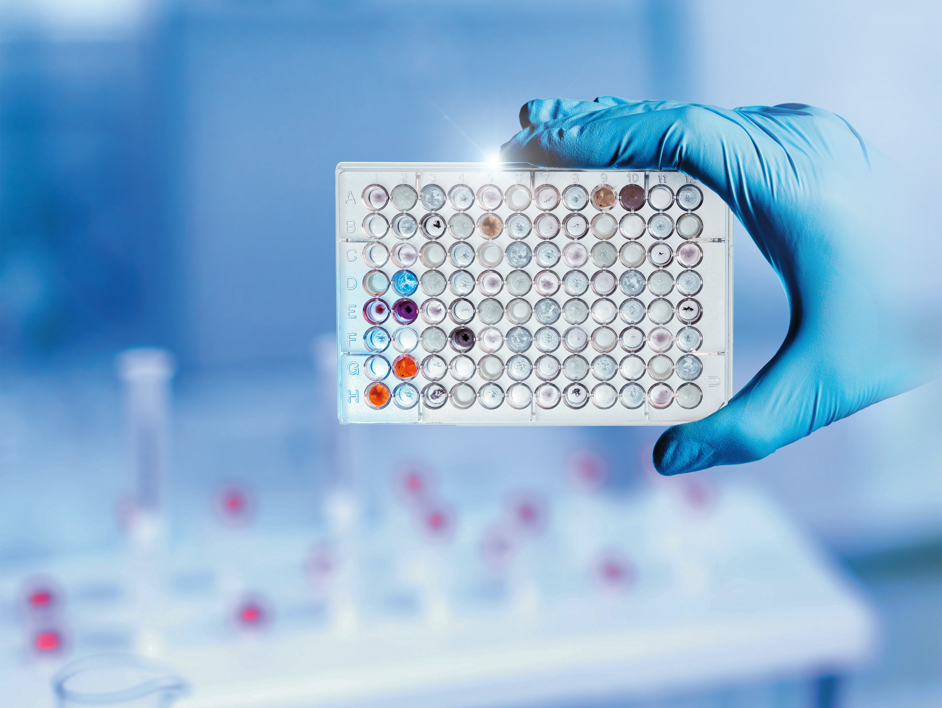 28976 Lab Auto Rgb 5fbbca04dd0ae