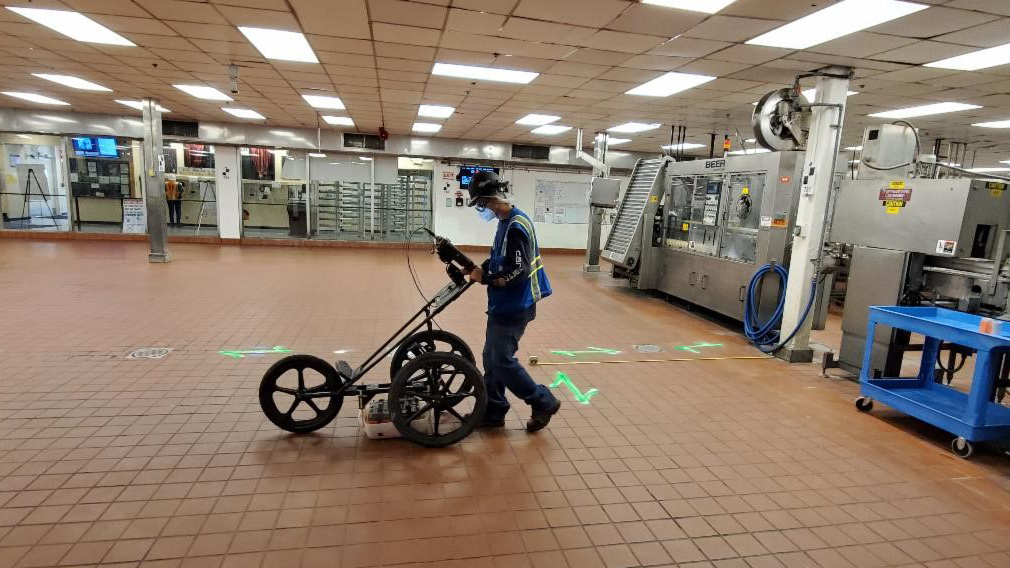 Concrete scanning and utility locating using GPR and RD at Gallo Winery facilities.