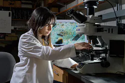 Marian Velay Lizancos and her students are developing concrete that can sequester carbon dioxide more successfully and efficiently than traditional mixes. Marian Velay Lizancos and her students are developing concrete that can sequester carbon dioxide more successfully and efficiently than traditional mixes.