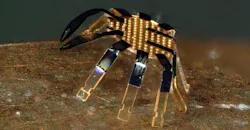 Tiny Robot Crab 628e7c0e7e644 6297d5ab06268 Tiny Robot Crab 628e7c0e7e644 6297d5ab06268