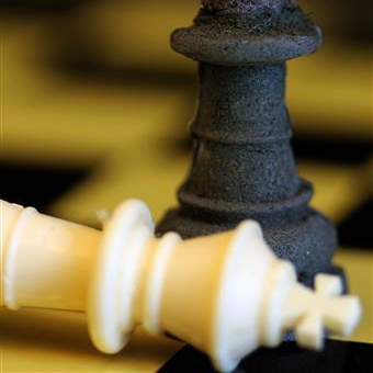 Harvard bioplastic chess