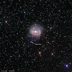 Supernova 2017cbv in its host galaxy NGC 5643 as observed by Las Cumbres Observatory. This supernova was particularly interesting because it was brighter and bluer than was expected early on, possibly because the explosion crashed into its binary companion star. Supernova 2017cbv in its host galaxy NGC 5643 as observed by Las Cumbres Observatory. This supernova was particularly interesting because it was brighter and bluer than was expected early on, possibly because the explosion crashed into its binary companion star.
