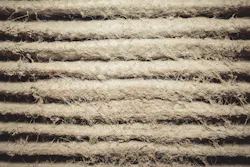 An Air Cleaning Alternative for the 21st Century An Air Cleaning Alternative for the 21st Century