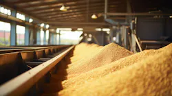 Conveyor Dust and Spillage: The Importance of Skirtboard Sealing Systems Conveyor Dust and Spillage: The Importance of Skirtboard Sealing Systems