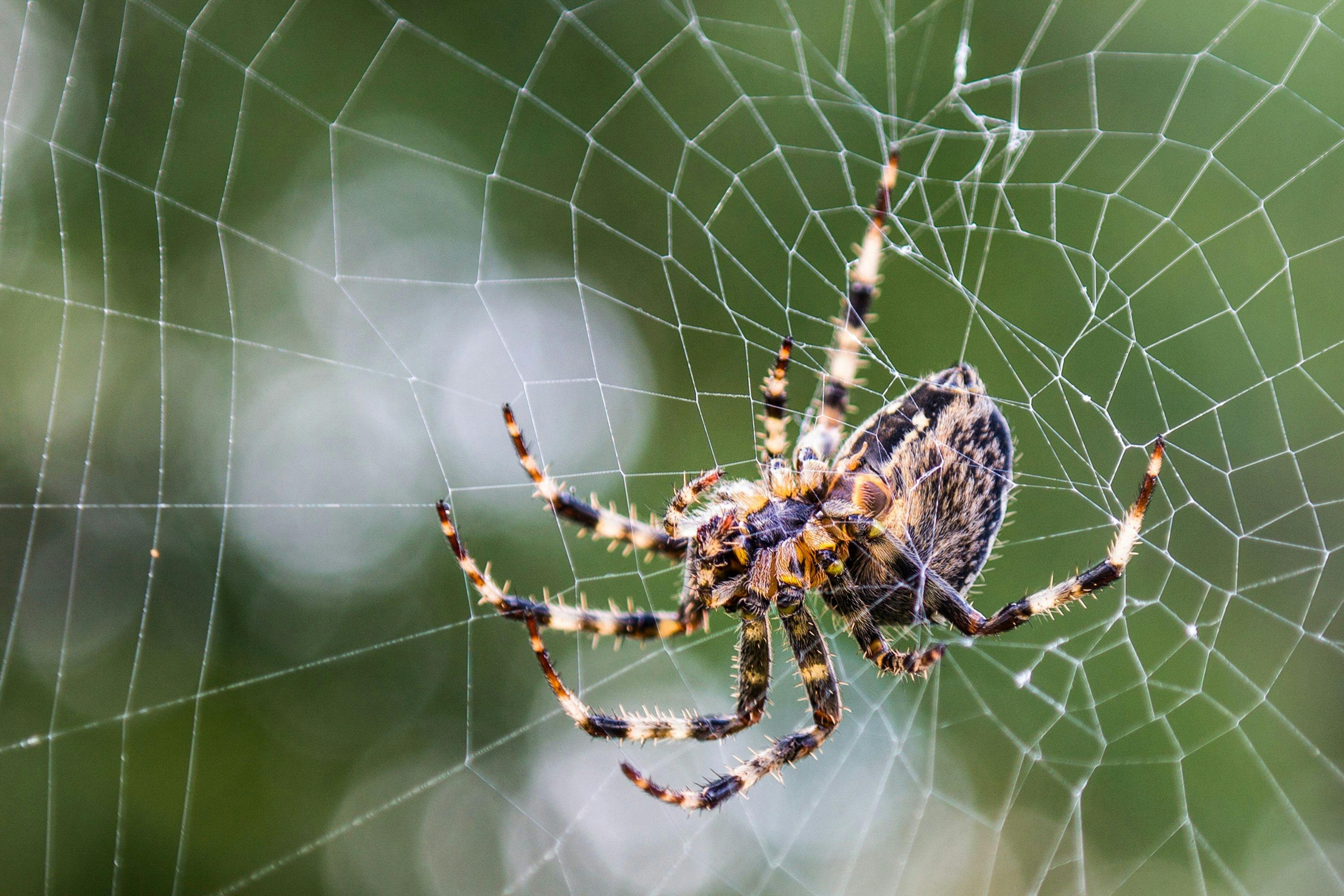 65e2086ad4f945001e26dd36 Dreamstime L 285543869