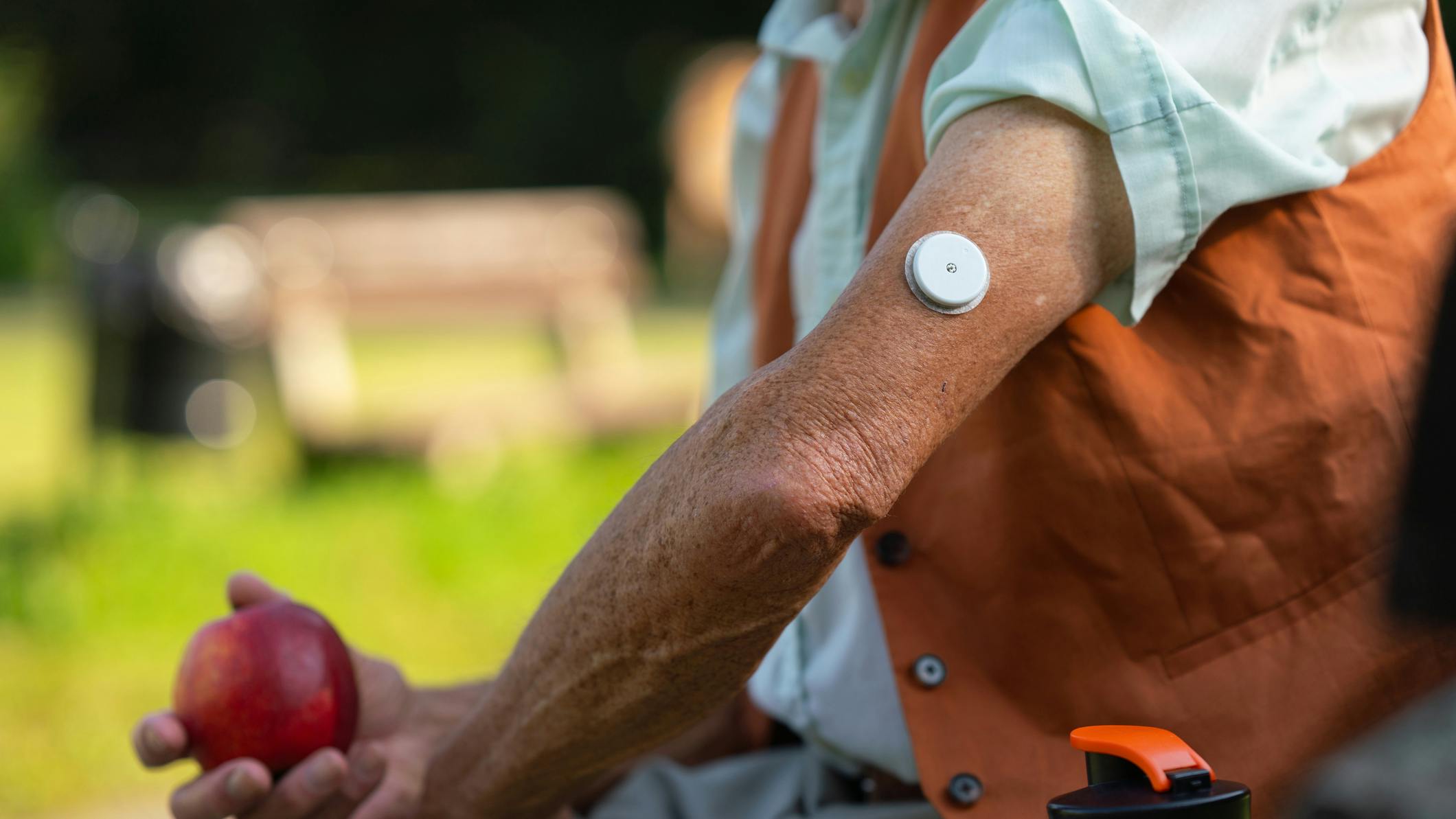 dreamstime_m_291393358