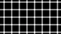 Figure 1: Humans are very good at inspection. We can use our senses and are quick to learn and adapt, but we can also be easily fooled. Try and count the black dots in this image. Figure 1: Humans are very good at inspection. We can use our senses and are quick to learn and adapt, but we can also be easily fooled. Try and count the black dots in this image.