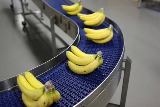 666723f6c403780008471b39 830 350