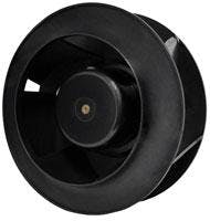 666726a794f10f000836fda0 830 350