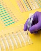 66672d1294f10f00083708e0 830 350