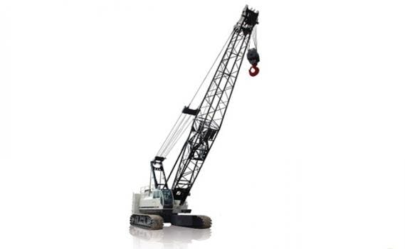 666734f5c40378000847388d 830 350