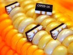 666735d1c4037800084739ec 830 350 666735d1c4037800084739ec 830 350