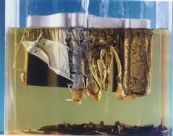 66673f6f94f10f00083726eb 830 350 66673f6f94f10f00083726eb 830 350