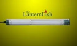 666742a394f10f0008372bf7 830 350 666742a394f10f0008372bf7 830 350