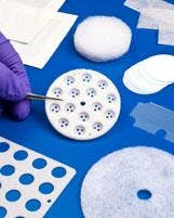 6667444c94f10f0008372e97 830 350