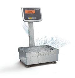 66674e6694f10f0008373f2d 830 350