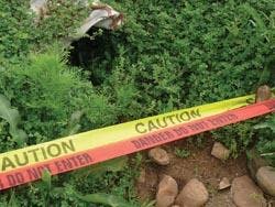 6667550ac403780008476d9d 830 350