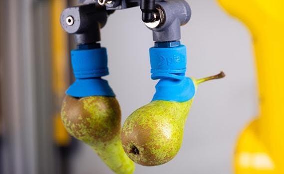 6667553b94f10f0008374a67 830 350