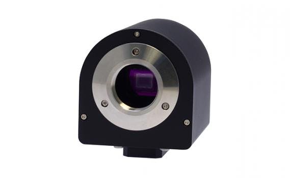 66675fe774c1d40008e41b3c 830 350