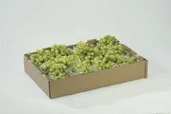 66676006c403780008477ecb 830 350 66676006c403780008477ecb 830 350