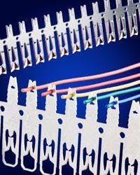 6667618e94f10f0008375d80 830 350