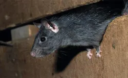 66676e2174c1d40008e43205 830 350 66676e2174c1d40008e43205 830 350