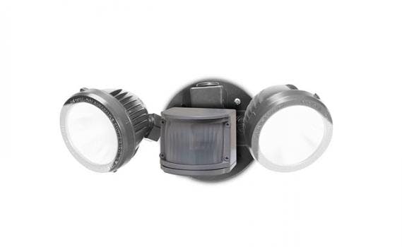 66676f1794f10f00083772ed 830 350