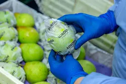 6667732394f10f0008377931 830 350 6667732394f10f0008377931 830 350