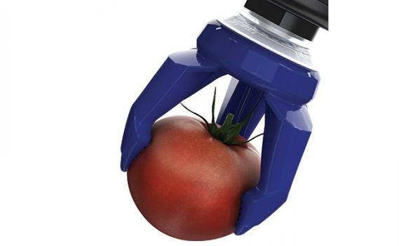 6667745a94f10f0008377b17 830 350