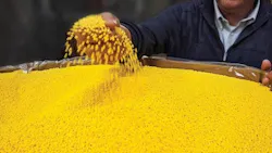 6667749674c1d40008e43bea 830 350 6667749674c1d40008e43bea 830 350