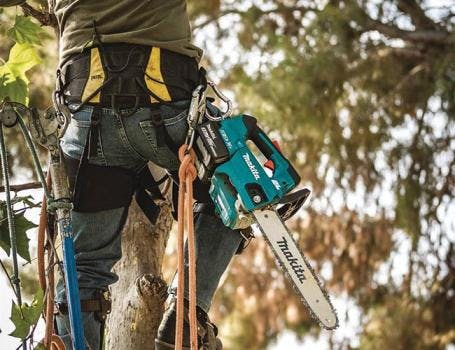 6667763974c1d40008e43e6b 830 350